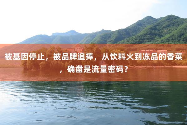 被基因停止，被品牌追捧，从饮料火到冻品的香菜，确凿是流量密码？