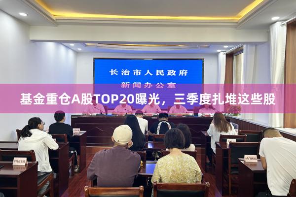 基金重仓A股TOP20曝光，三季度扎堆这些股