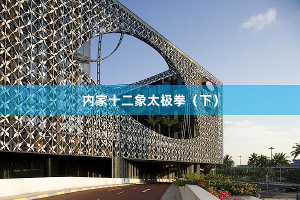 内家十二象太极拳（下）
