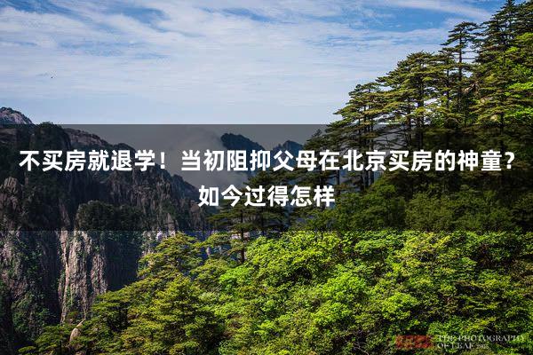 不买房就退学！当初阻抑父母在北京买房的神童？如今过得怎样