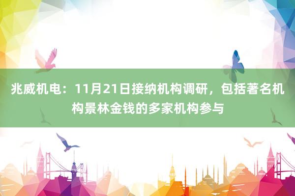 兆威机电：11月21日接纳机构调研，包括著名机构景林金钱的多家机构参与