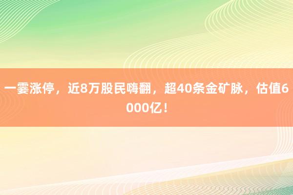 一霎涨停，近8万股民嗨翻，超40条金矿脉，估值6000亿！